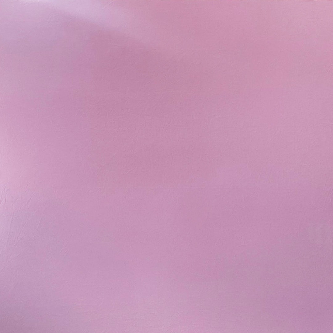 Baby Pink Plane