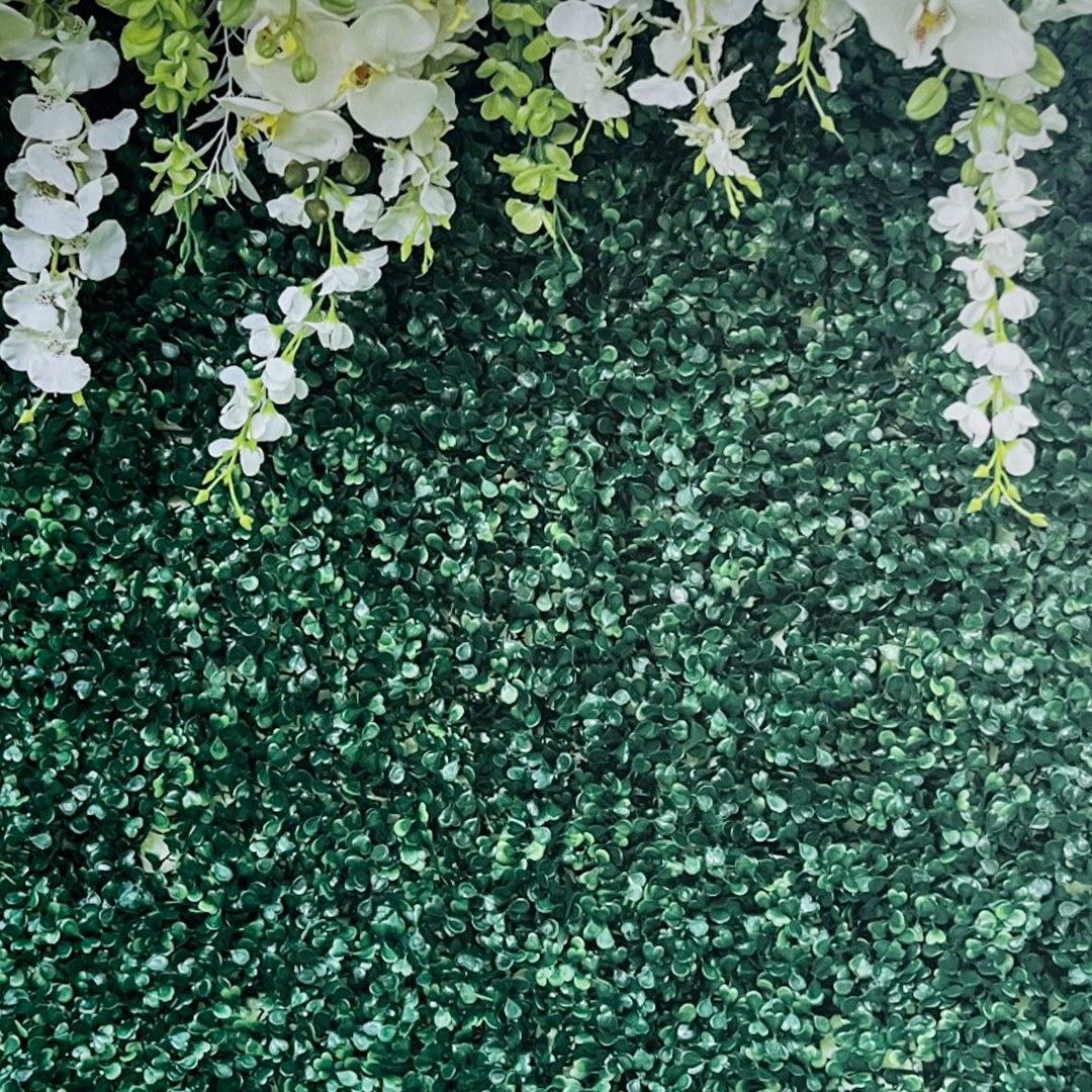Eden Wall