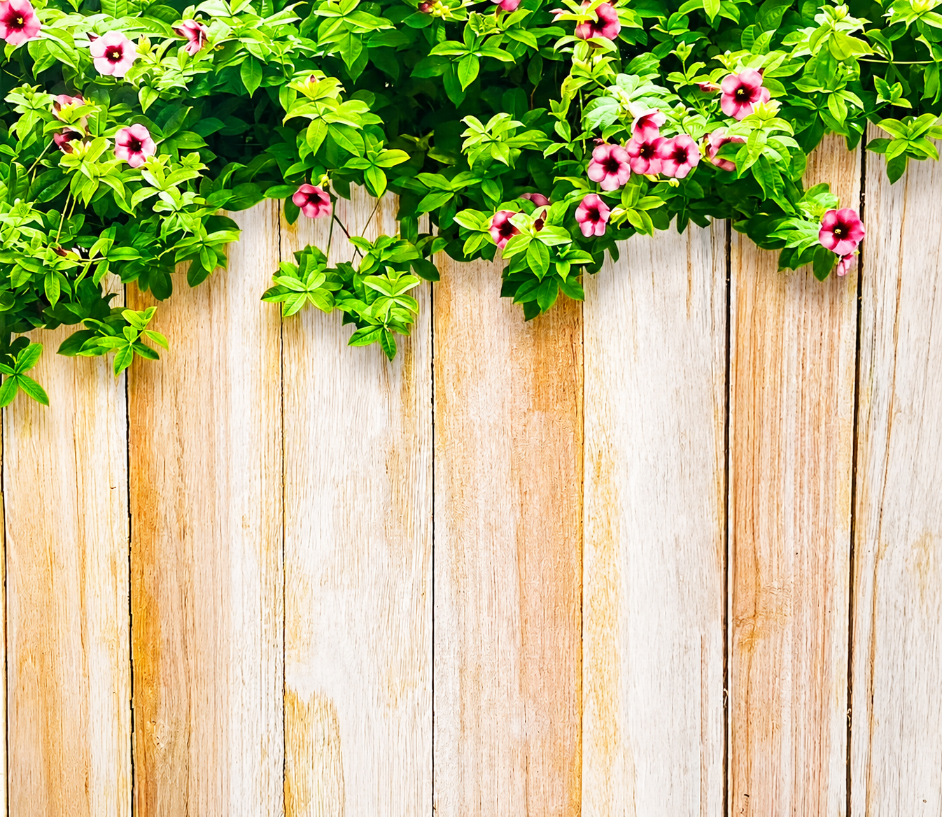 Background 1